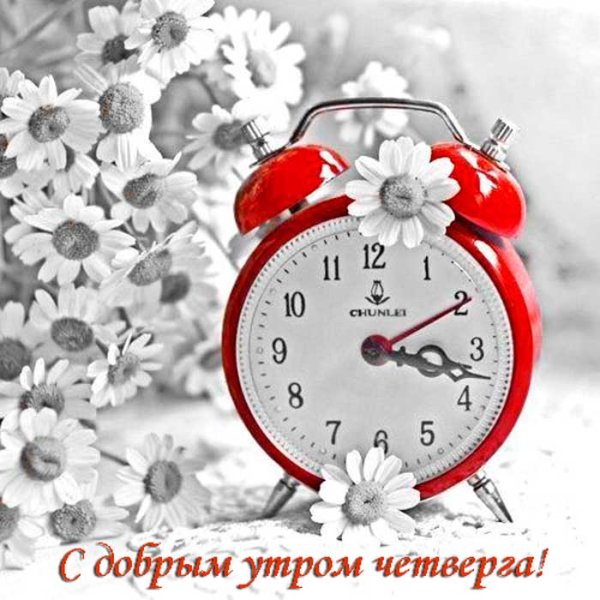 Циферблат часов