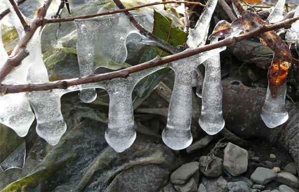 До весны осталось