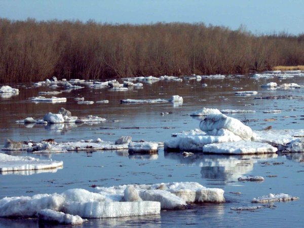 Ледоход на речке