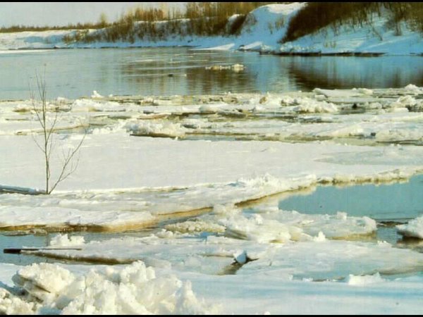 Ледоход на Неве 2021