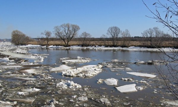 Рисование весеннего пейзажа