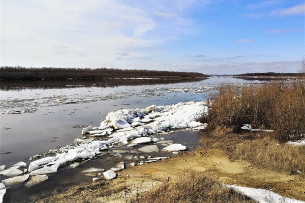 Ледоход на реке Печора 2022