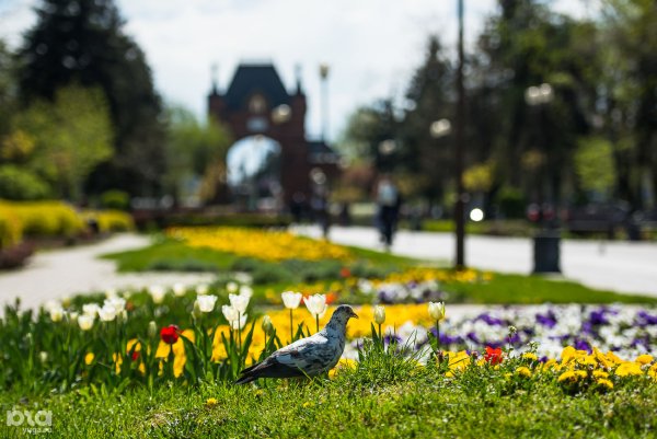 Весна в Краснодаре