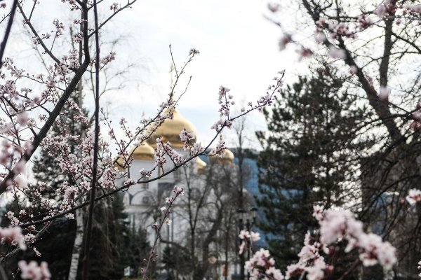 Весна в Краснодаре