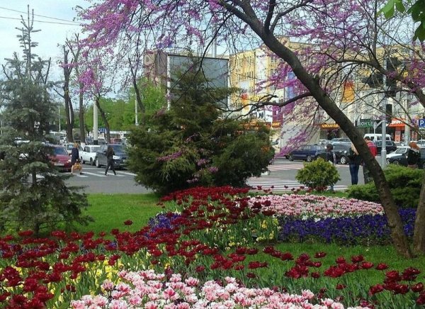Весенний Краснодар