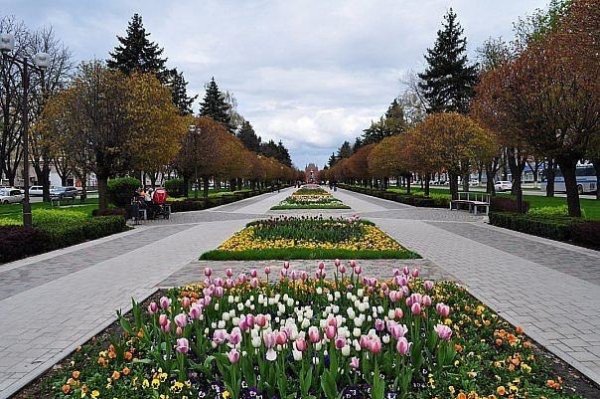 Весна в Краснодаре фото