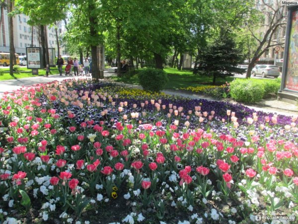 Весна в Краснодаре