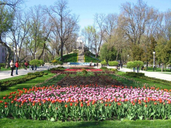 Парк Галицкого в Краснодаре весной 2021