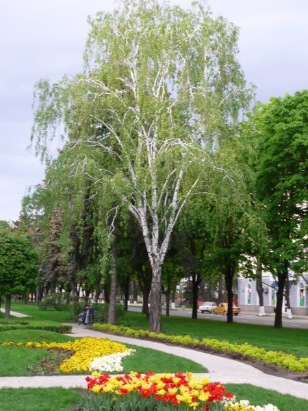 Краснодар март
