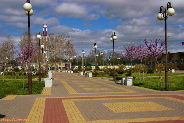 Парк Галицкого в Краснодаре Весна