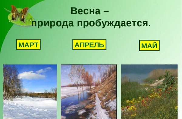 Весна весенние изменения в природе
