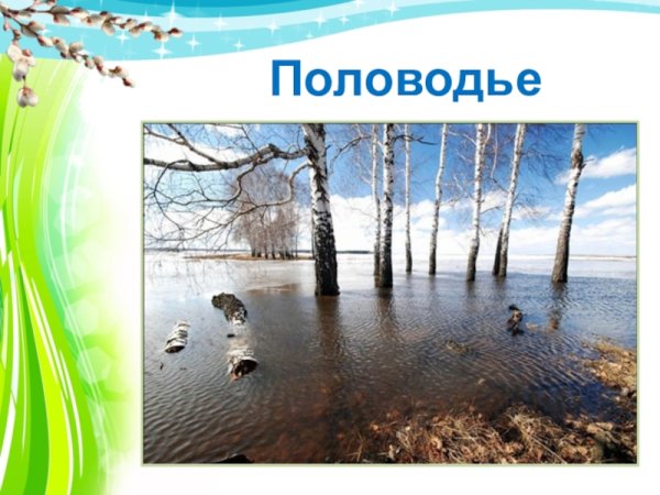 Картинки весенних изменений в природе