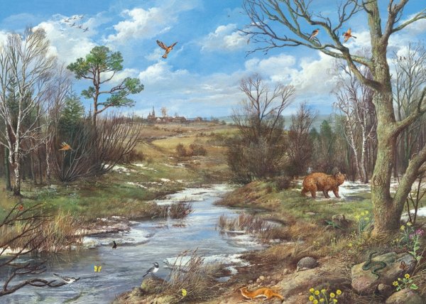 Весна сезонные изменения в природе