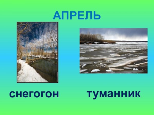 Сезонные изменения в природе апрель