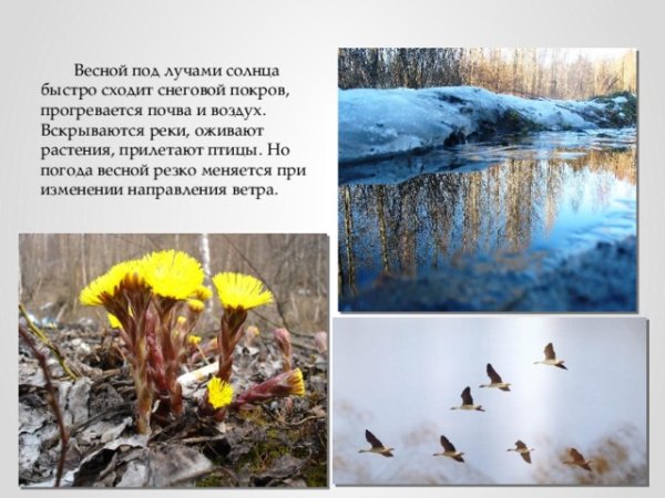 Весенние изменения в природе