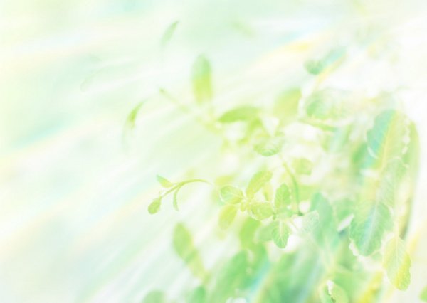 Фон светло зеленый нежный