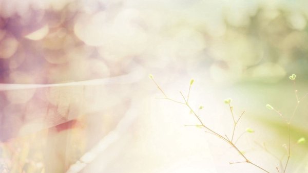 Фон для презентации Весна