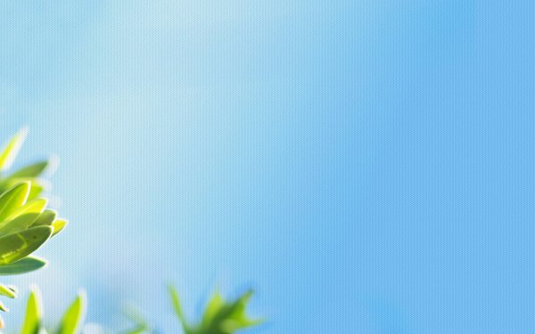 Зеленый фон Весна