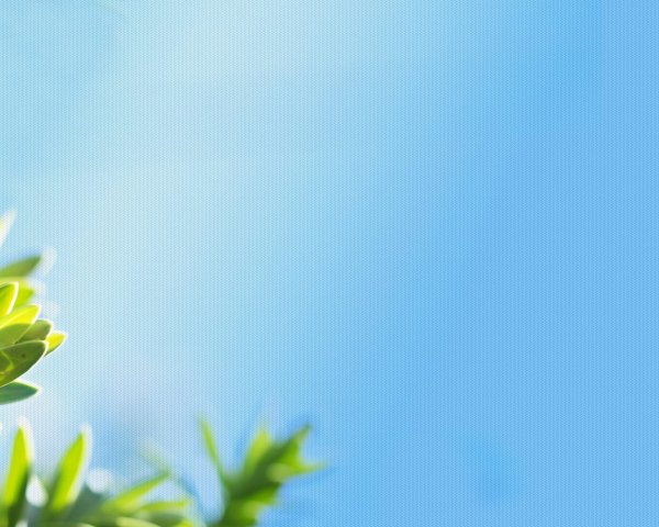 Нежные цвета