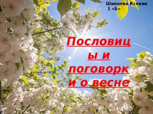 Пословицы о весне