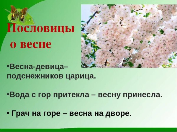 Пословицы о весне