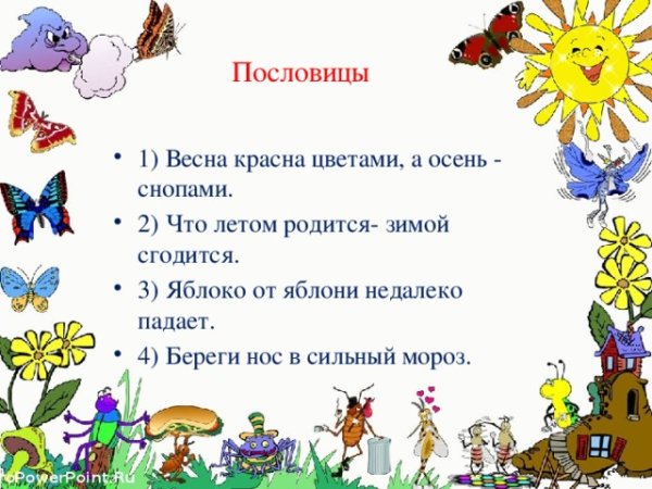 Пословицы и поговорки по экологии