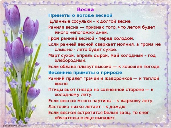 Приметы весны