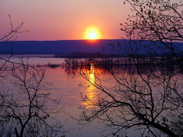 Самара улица Льва Толстого филармония