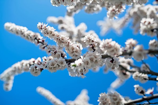 Весна в Самаре 22