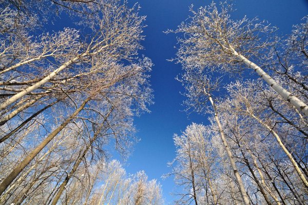 Самара Весна