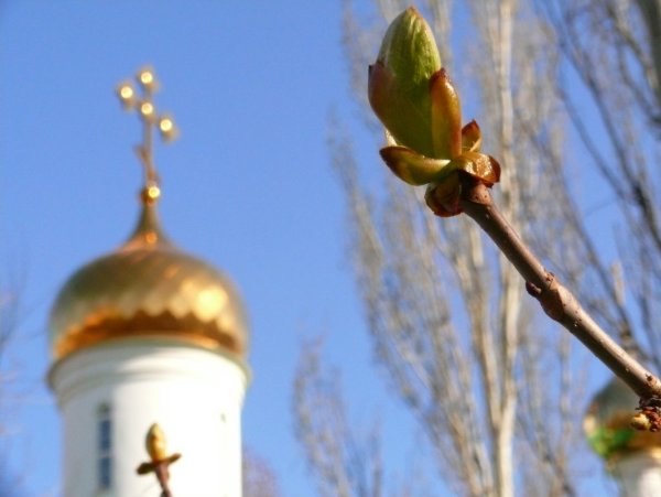 Солнечная Весна в городе