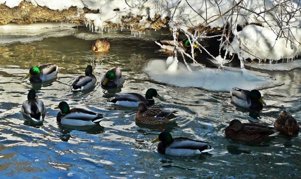 Волжский проспект набережная