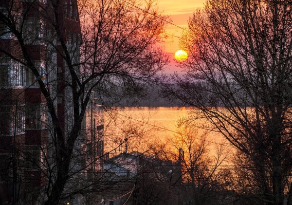 Цветы в Самаре весной