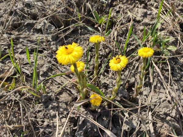 Набережная Самара зимой 2022