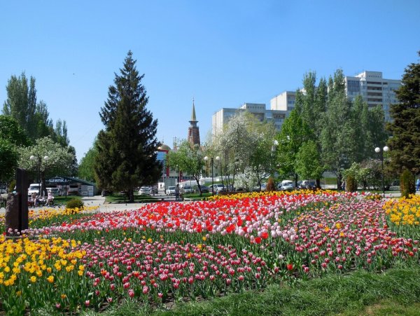 Аллея на революционной Тольятти