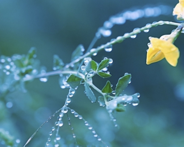 Весна абстракция