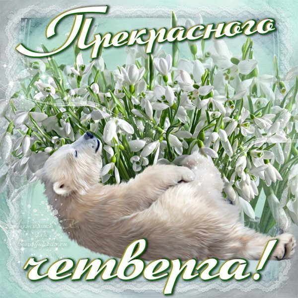 Доброе Весеннее утро четверга