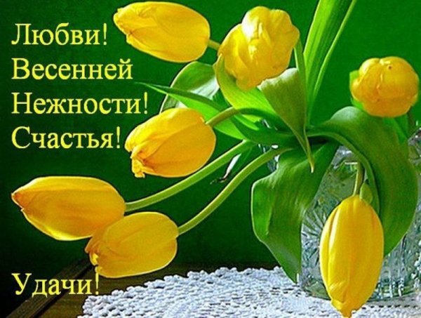 Теплого весеннего дня