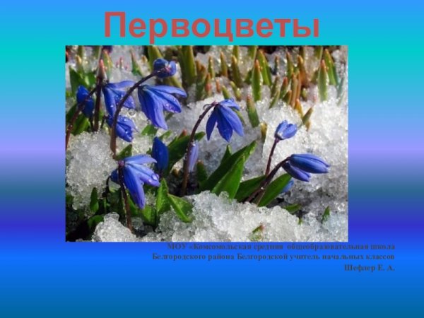 Пролески для детей