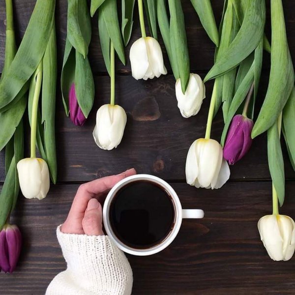 Самая Весенняя еда