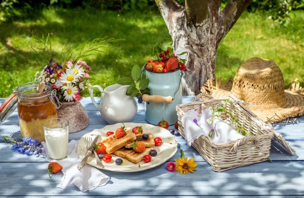 Пикник на природе