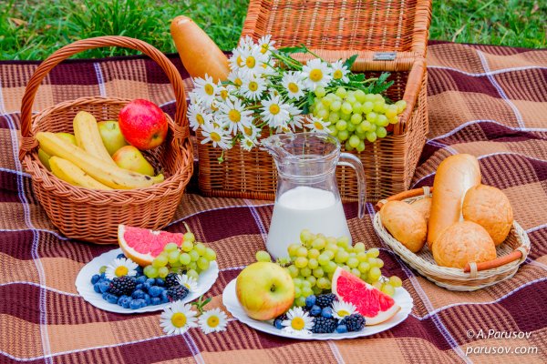 Пикник на природе