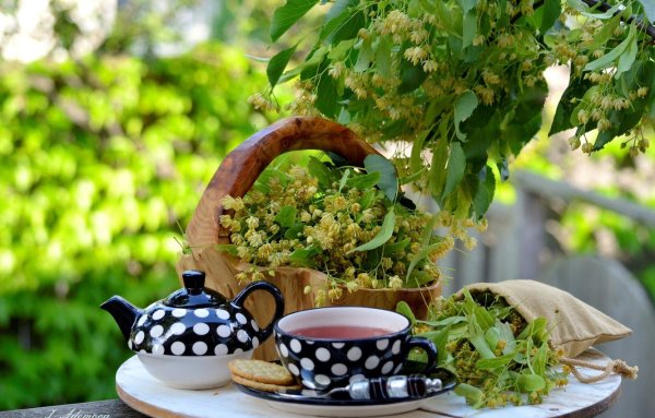 Уютные натюрморты весенние