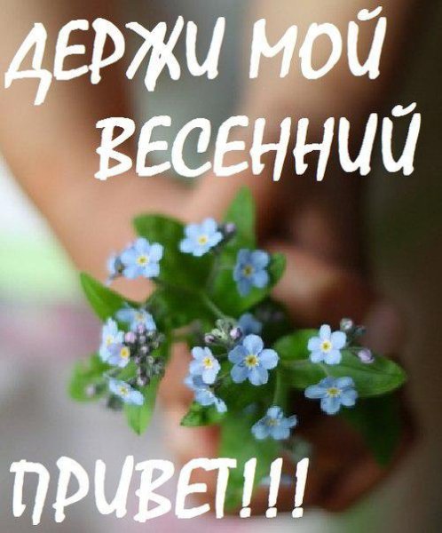 Доброе утро пятница Весна