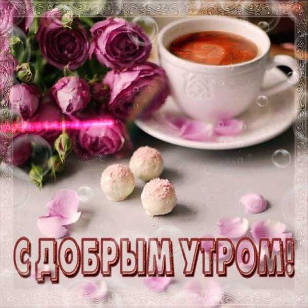 Доброе утро пятницы сирень