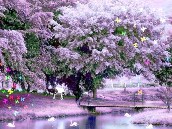 Нежный цветок