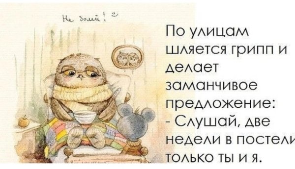 Кот с градусником