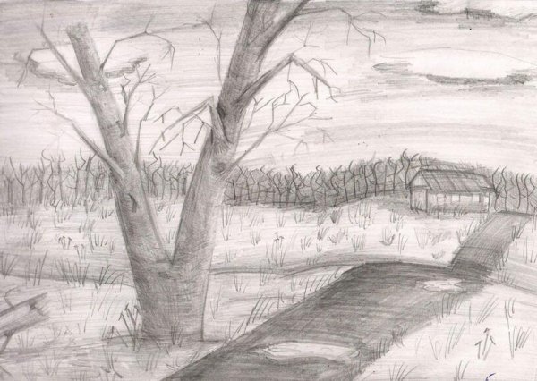 Весна карандашом