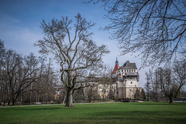 Парк весной