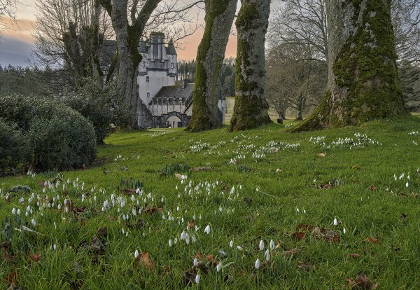 Замок Весна